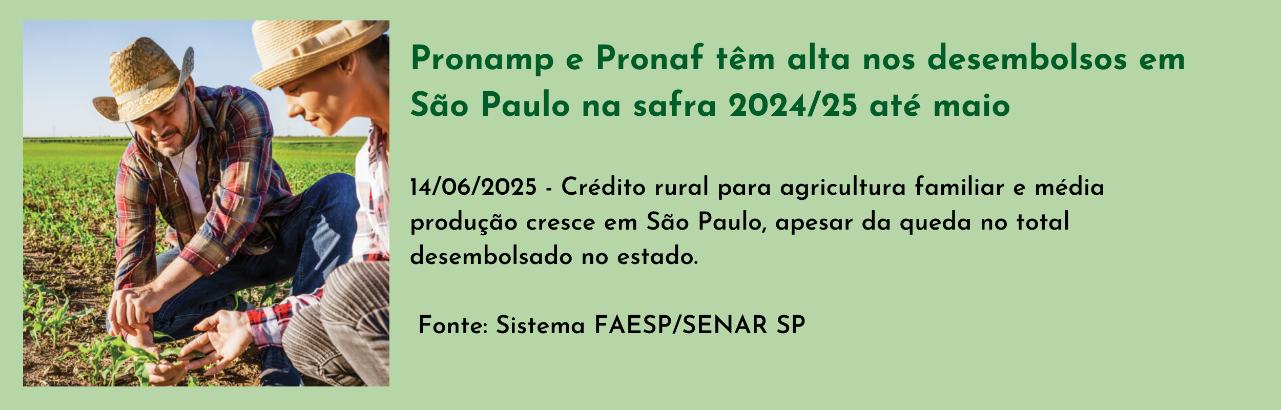 Pronamp e Pronaf têm alta nos desembolsos em São Paulo na safra 202425 até maio.png