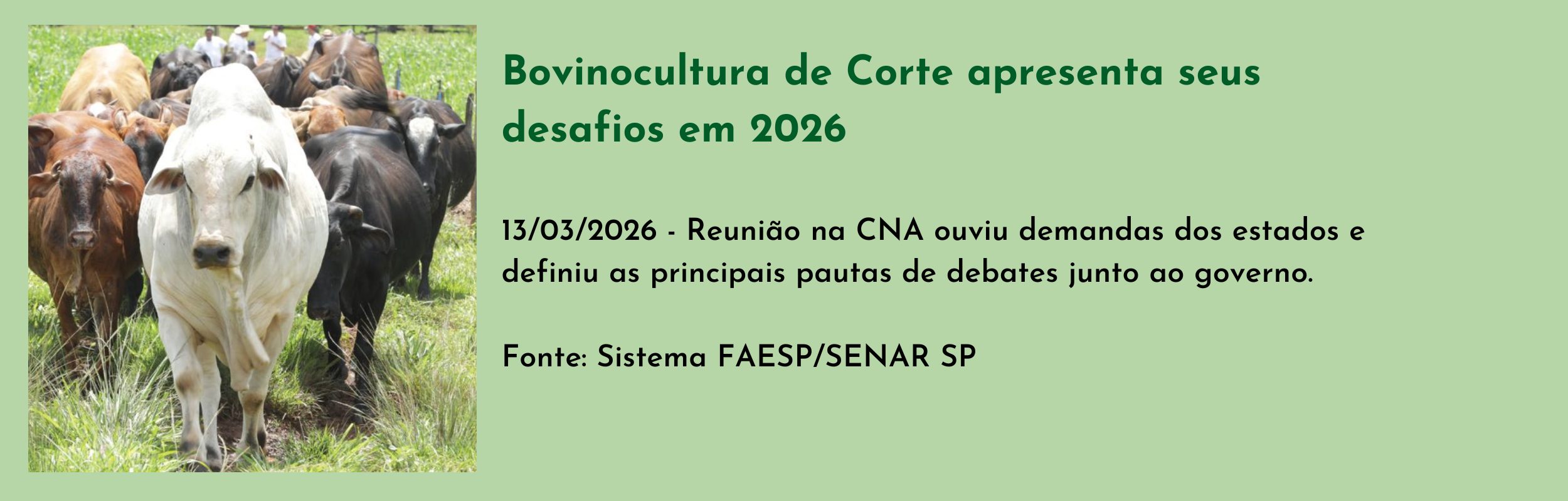 Bovinocultura de Corte apresenta seus desafios em 2026.png
