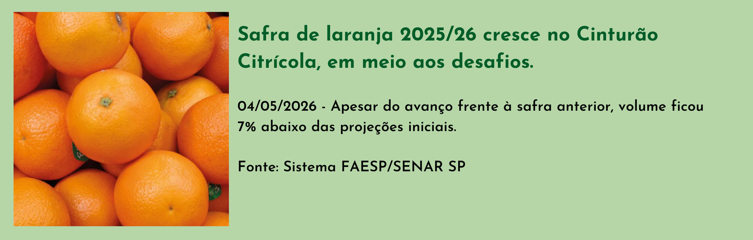 Safra de laranja 202526 cresce no Cinturão Citrícola, em meio aos desafios.png