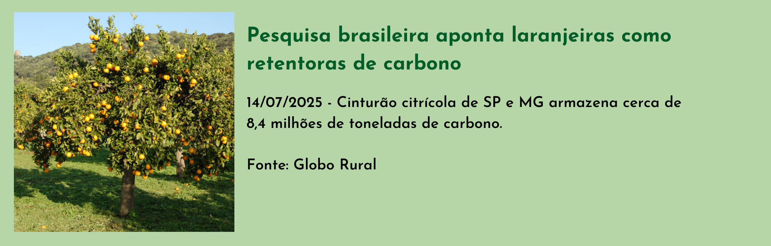 Pesquisa brasileira aponta laranjeiras como retentoras de carbono.png