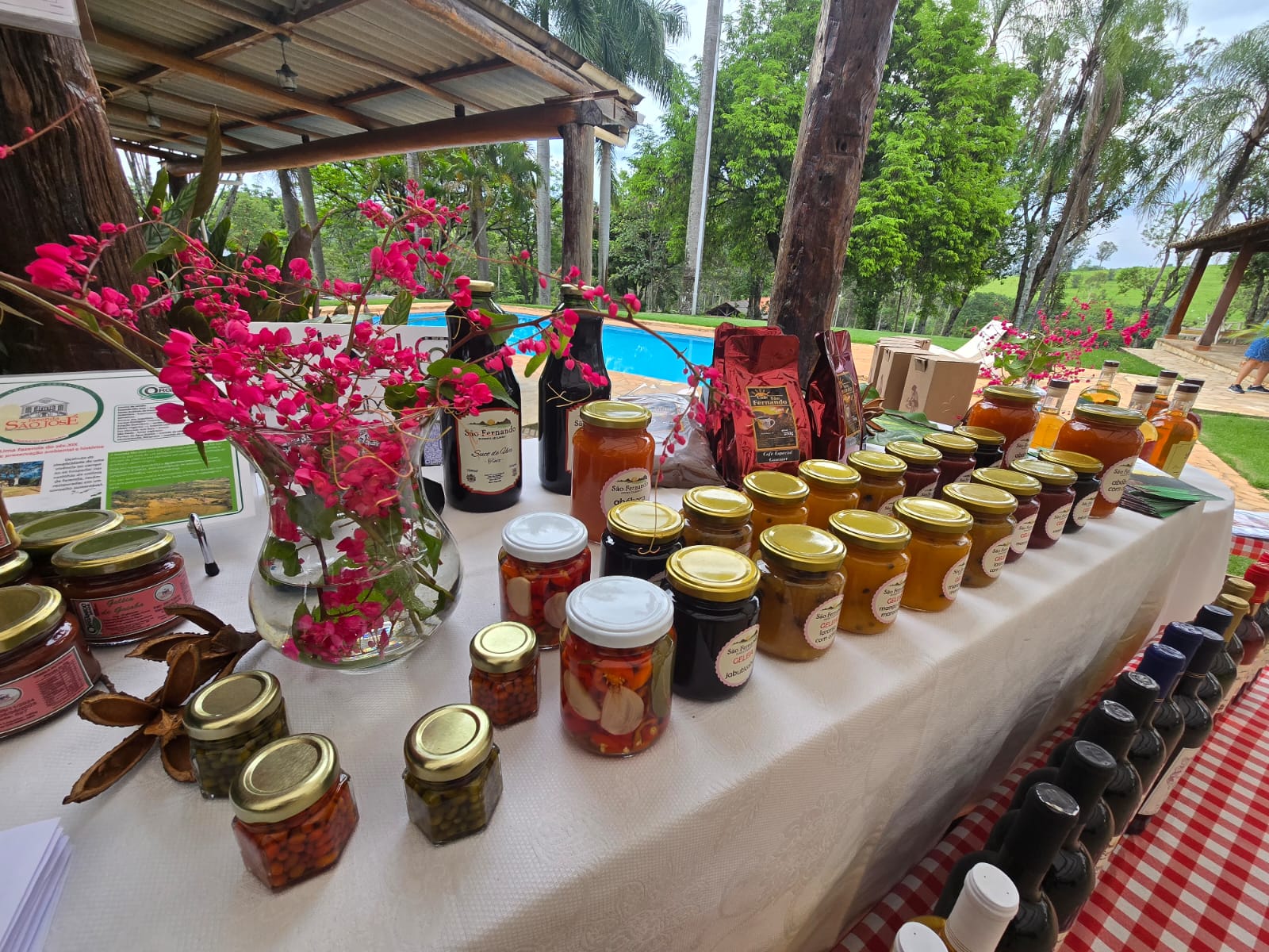 Imagem do WhatsApp de 2024-11-29 à(s) 11.54.59_a23b36cd.jpg