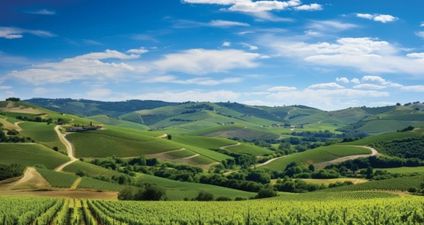 02-2025-credito-rural-banner-1024x546.jpg