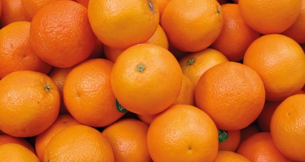 05-2026-safra-laranja-banner-1024x546.jpg