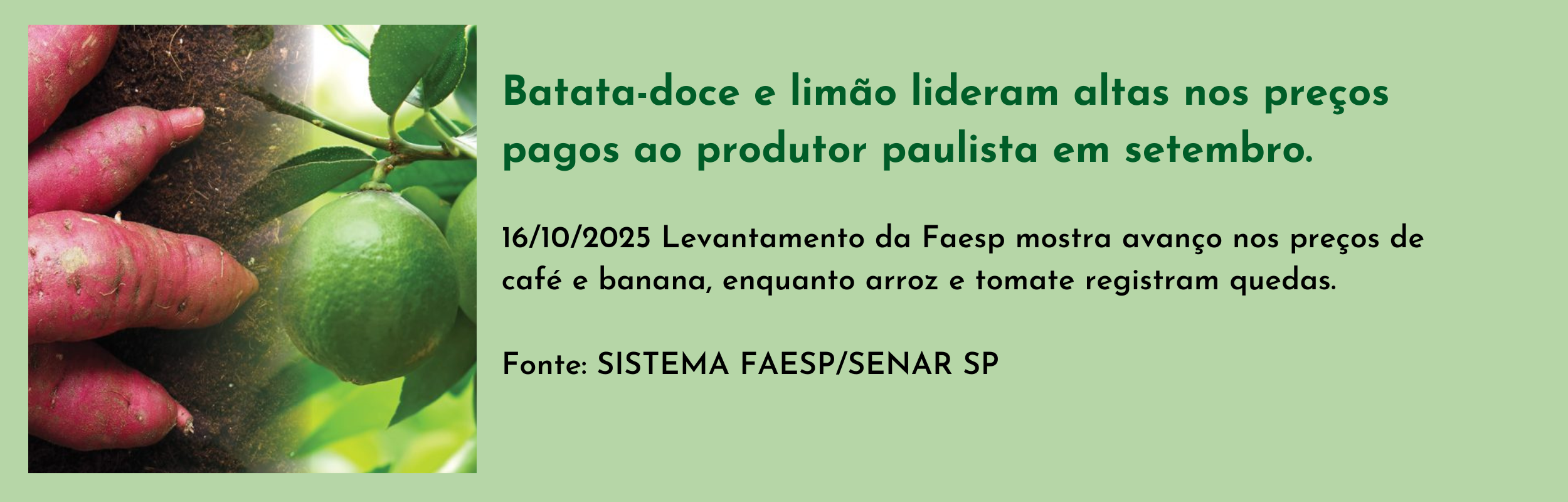 Batata-doce e limão lideram altas nos preços pagos ao produtor paulista em setembro..png