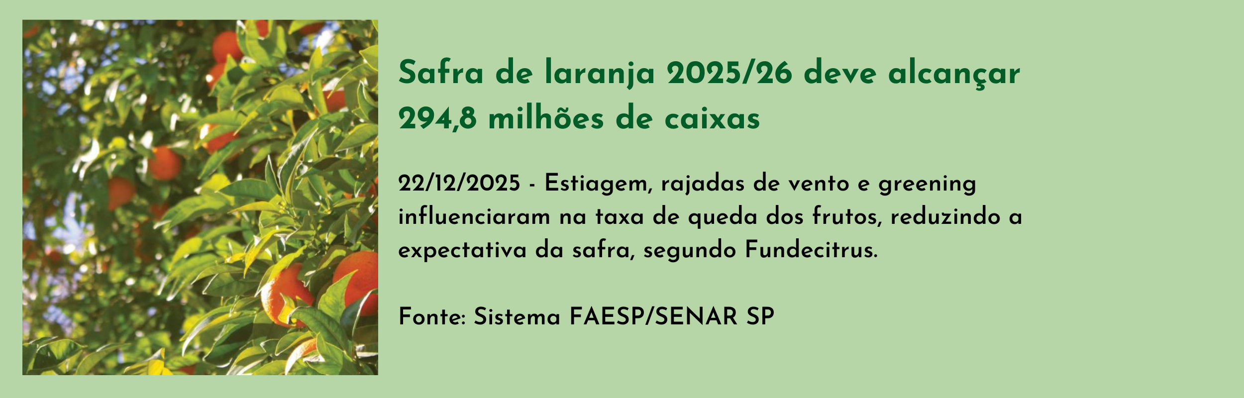 Safra de laranja 202526 deve alcançar 294,8 milhões de caixas.png