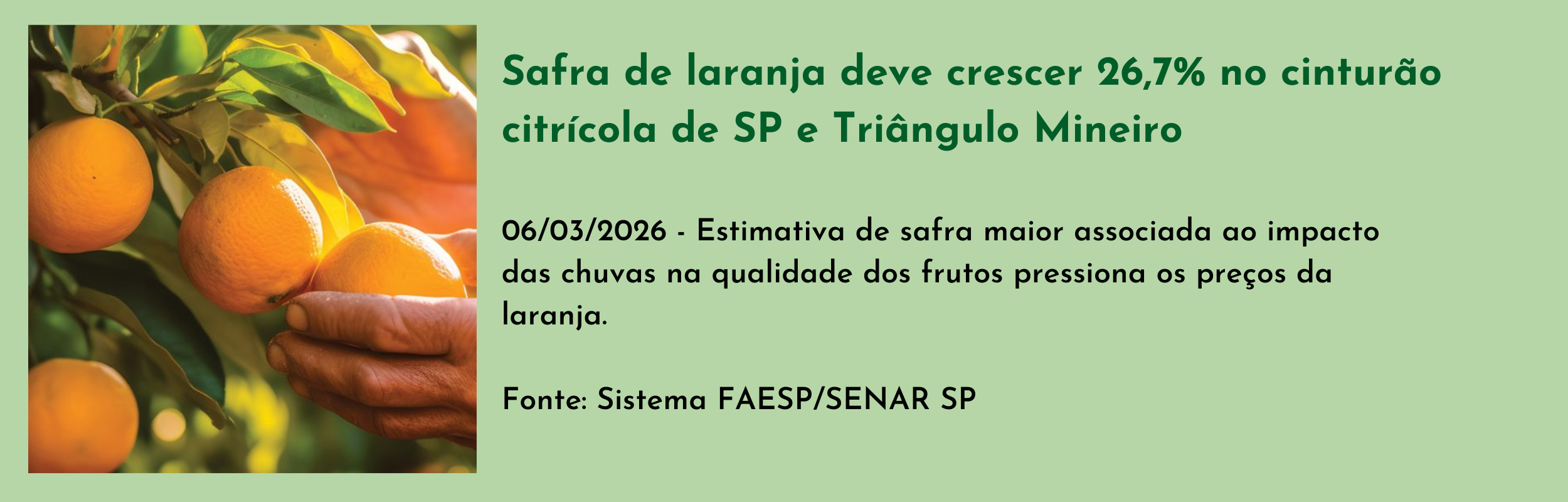 Safra de laranja deve crescer 26,7% no cinturão citrícola de SP e Triângulo Mineiro.png