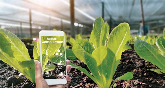06-2025-faesp-informa-rastreabilidade-banner-1024x546.jpg