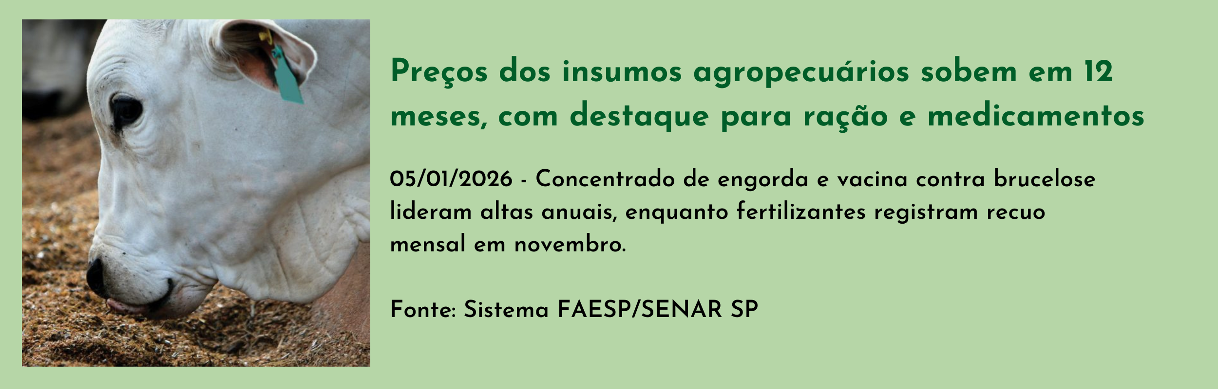 Preços dos insumos agropecuários sobem em 12 meses, com destaque para ração e medicamentos.png